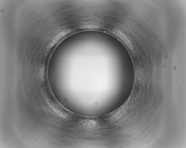 X0000088150159200705141557