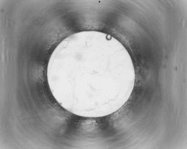 X0000088150162200705141557