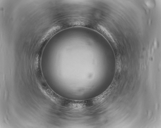 X0000088150163200705141557