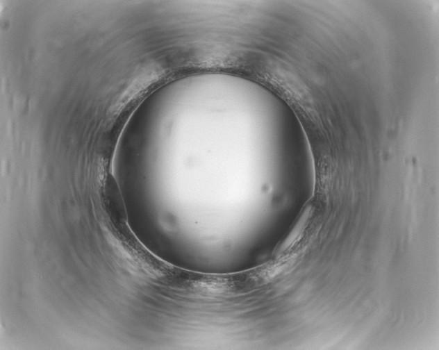 X0000088150164200705141557