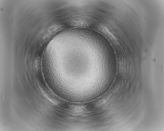 X0000088150165200705141557