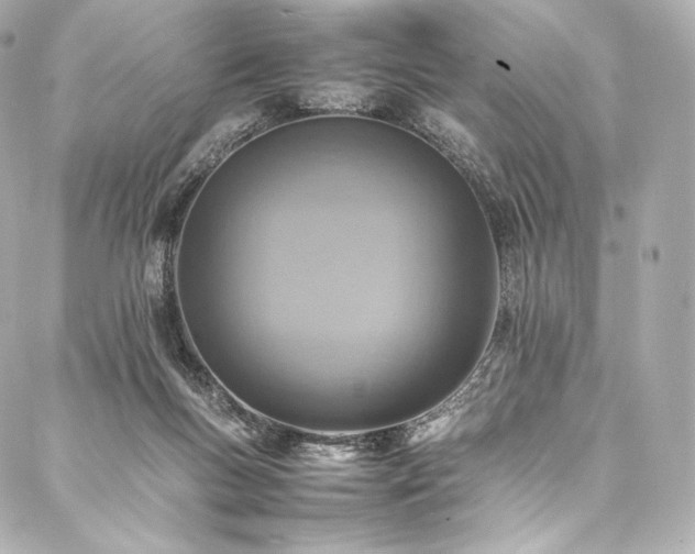 X0000088150167200705141557