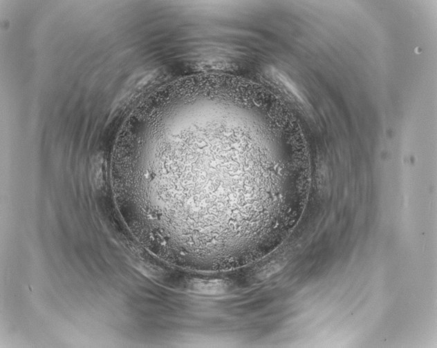 X0000088150169200705141557