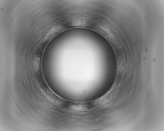 X0000088150171200705141557