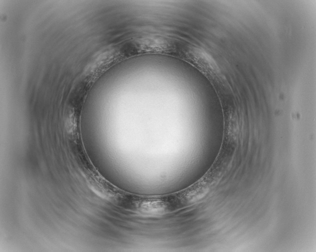 X0000088150173200705141557