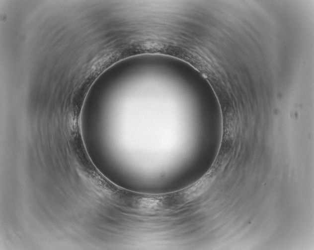 X0000088150176200705141557