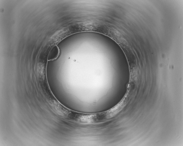 X0000088150178200705141557