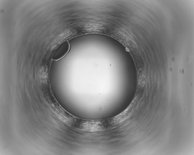 X0000088150179200705141557