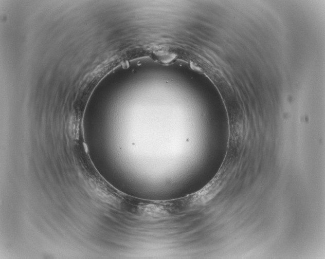 X0000088150180200705141557