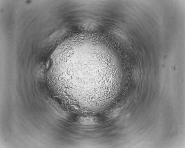 X0000088150181200705141557