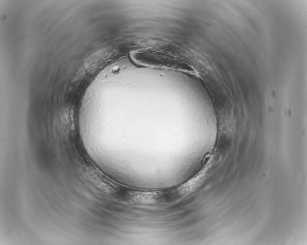 X0000088150182200705141557