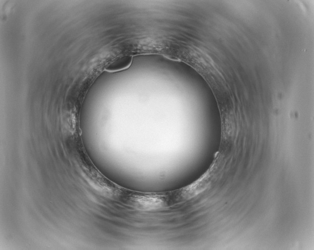 X0000088150183200705141557