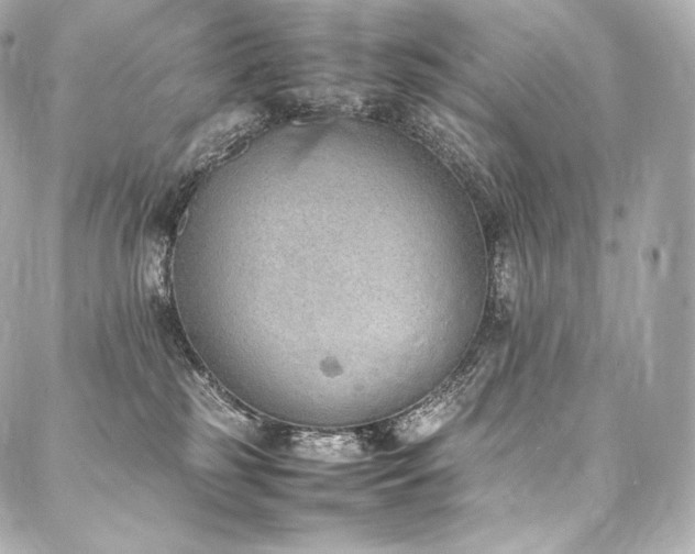 X0000088150185200705141558