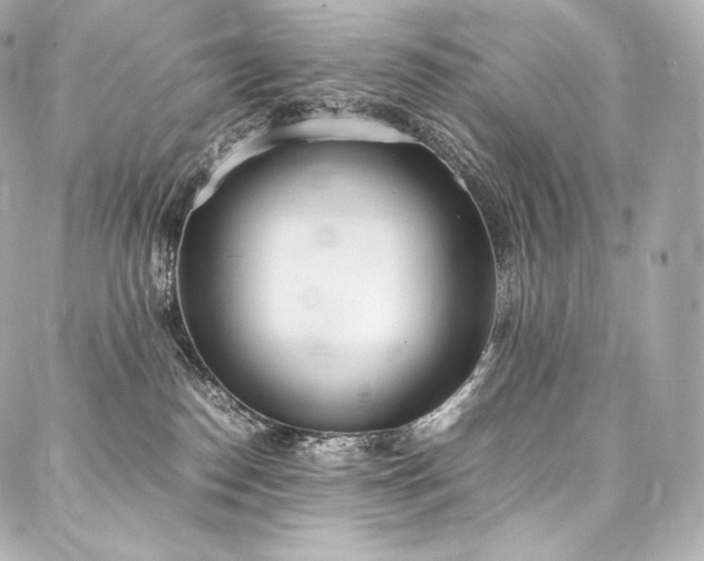 X0000088150186200705141558