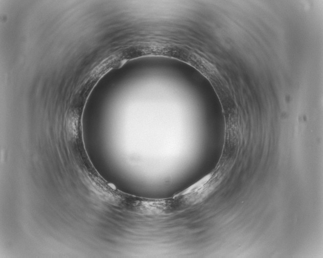 X0000088150188200705141558