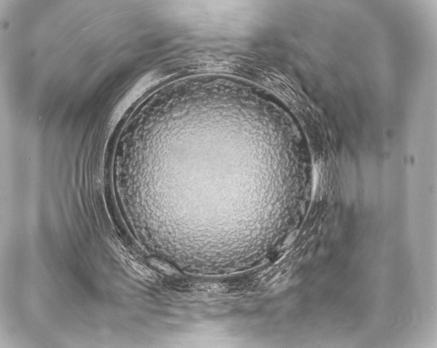 X0000088150195200705141557