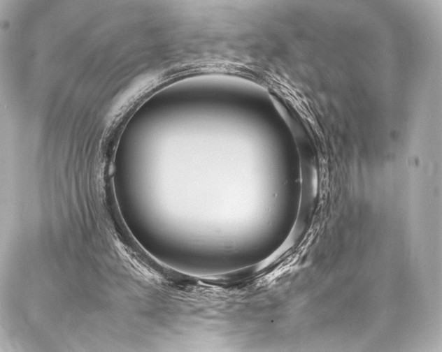 X0000088150197200705141557