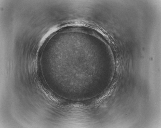 X0000088150200200705141557