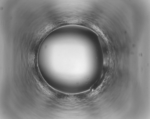 X0000088150201200705141557