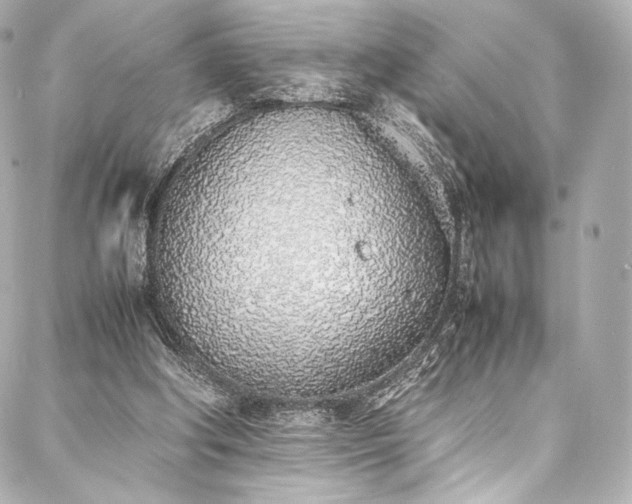 X0000088150202200705141557