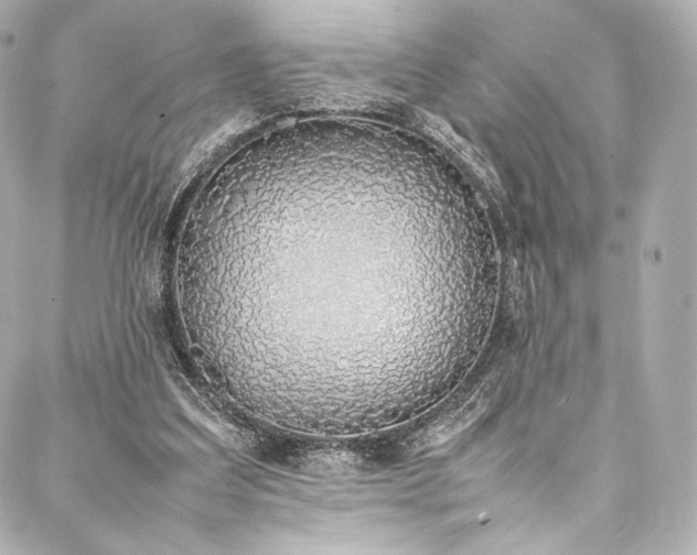 X0000088150203200705141557