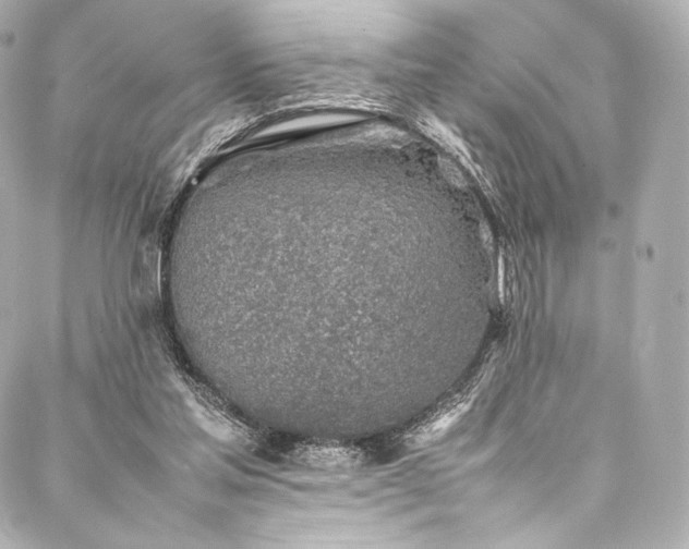 X0000088150205200705141557