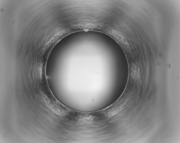 X0000088150206200705141557