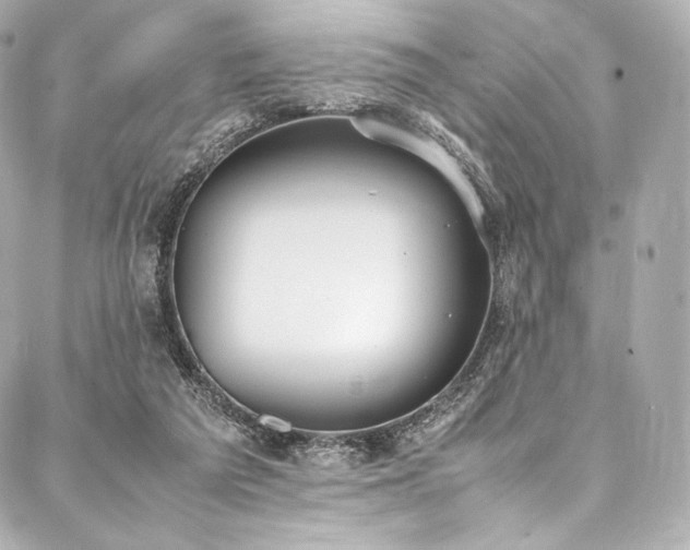 X0000088150209200705141557