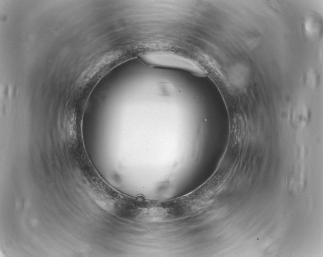 X0000088150212200705141557