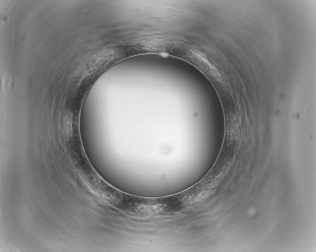 X0000088150213200705141557