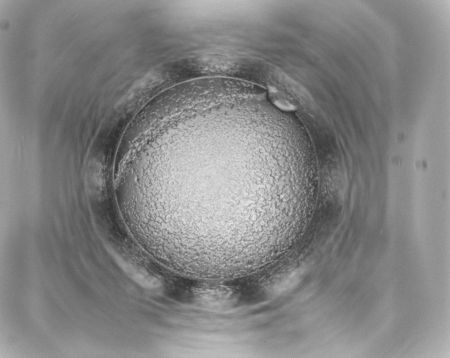 X0000088150215200705141557