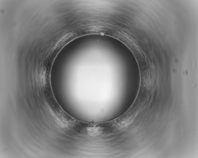 X0000088150216200705141556