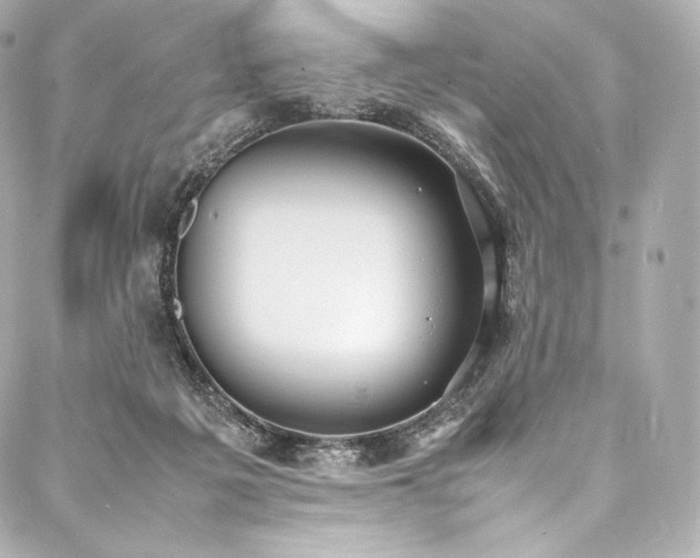 X0000088150217200705141556