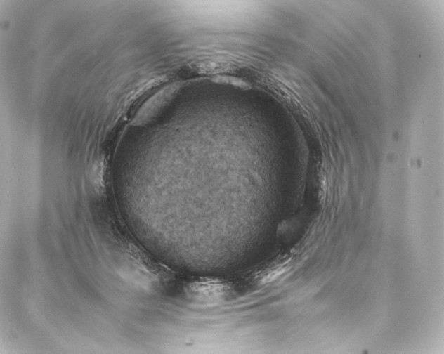 X0000088150219200705141556