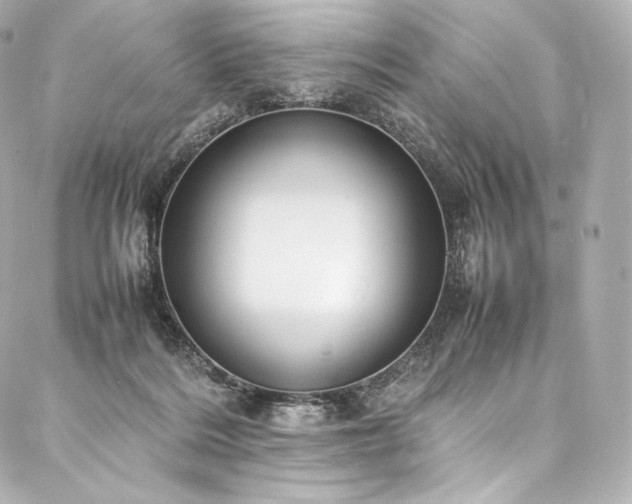 X0000088150220200705141556