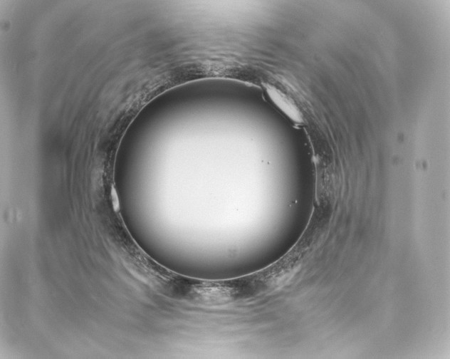 X0000088150221200705141556