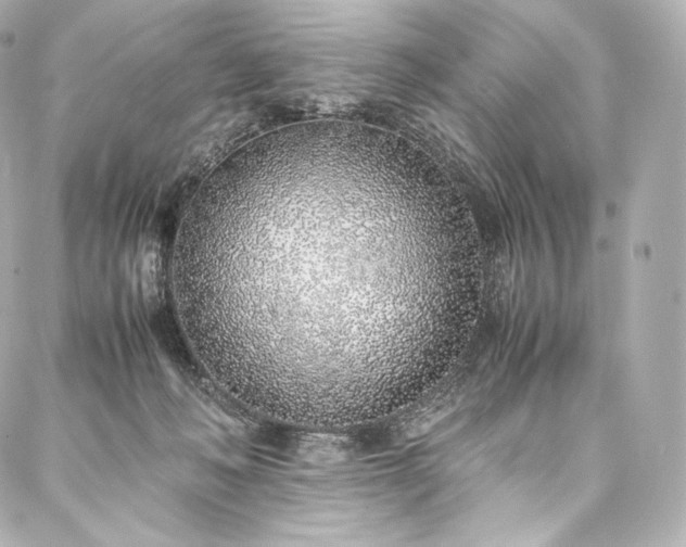 X0000088150222200705141556