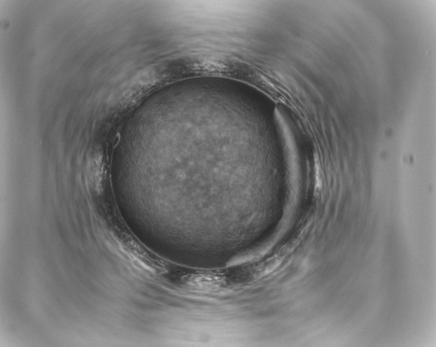 X0000088150223200705141556