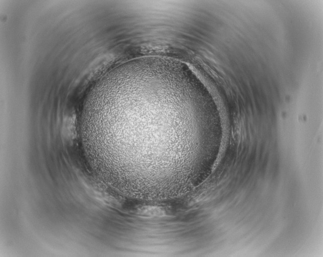 X0000088150224200705141556