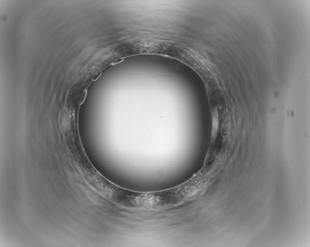 X0000088150225200705141556