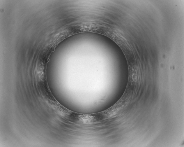 X0000088150226200705141556