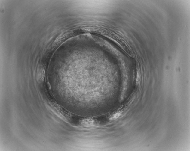 X0000088150227200705141556