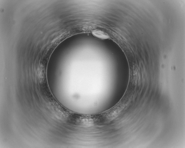 X0000088150228200705141556