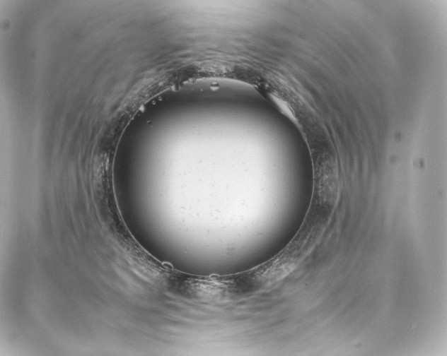 X0000088150229200705141556