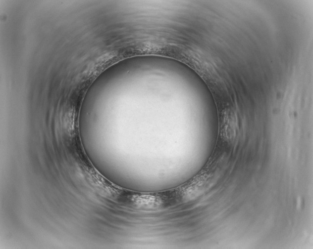 X0000088150230200705141556