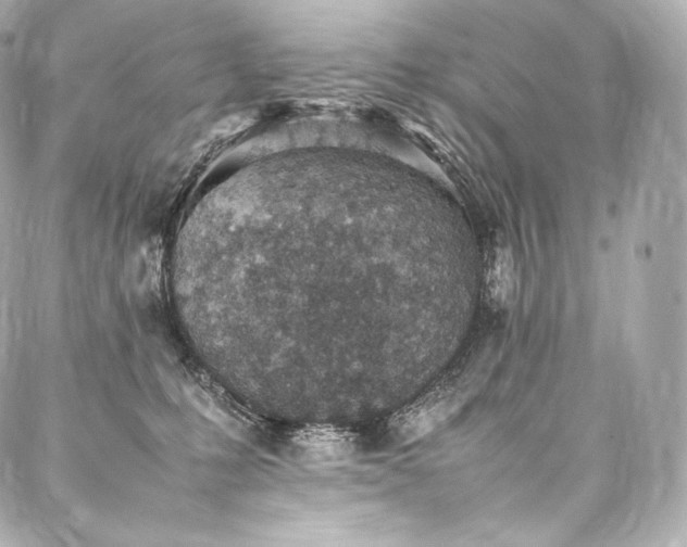 X0000088150231200705141556