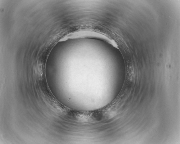 X0000088150232200705141556