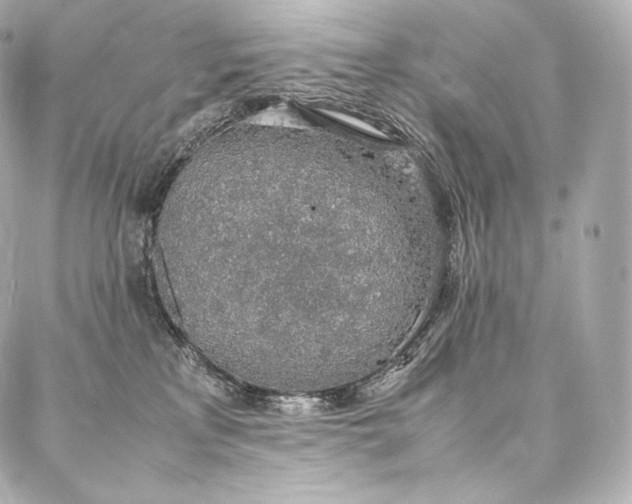 X0000088150233200705141556