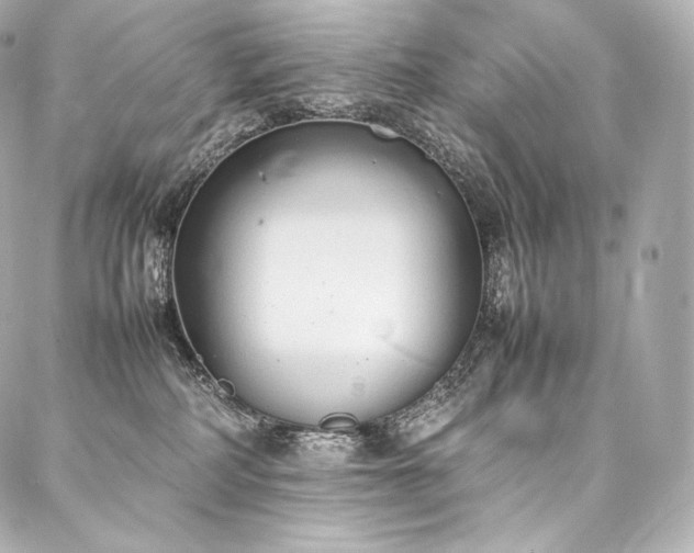 X0000088150234200705141556