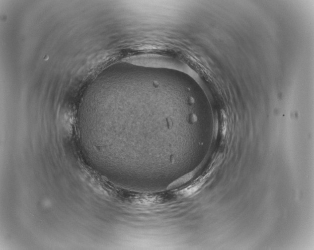 X0000088150235200705141556